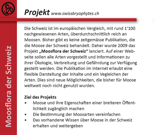 Projekt